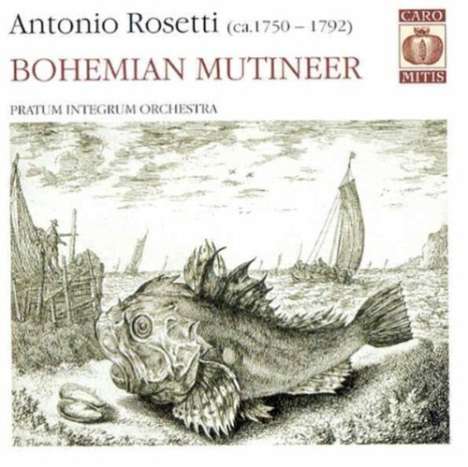 Antonio Rosetti (1750-1792): Symphonien in D &amp; g (Murray A21 &amp; A42), Super Audio CD