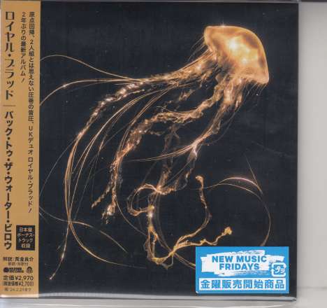 Royal Blood: Back To The Water Below (Digisleeve), CD