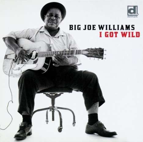 Big Joe Williams (Guitar/Blues): I Got Wild, CD