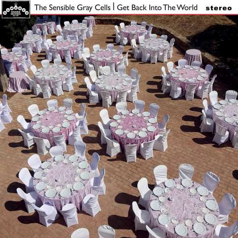The Sensible Gray Cells: Get Back Into The World (Limited Edition) (Gray Vinyl), LP