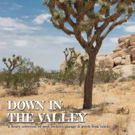 Down In The Valley Vol.1, LP