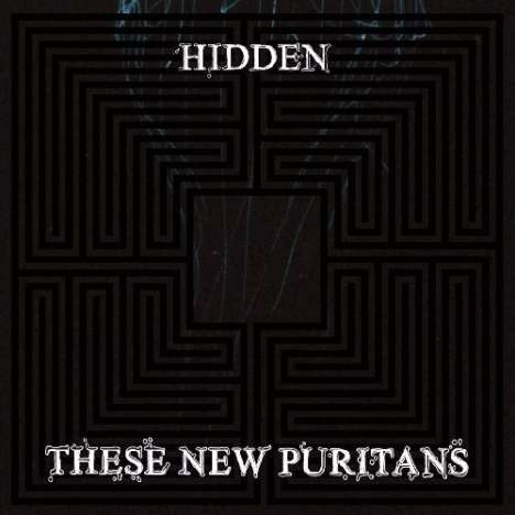 These New Puritans: Hidden, CD