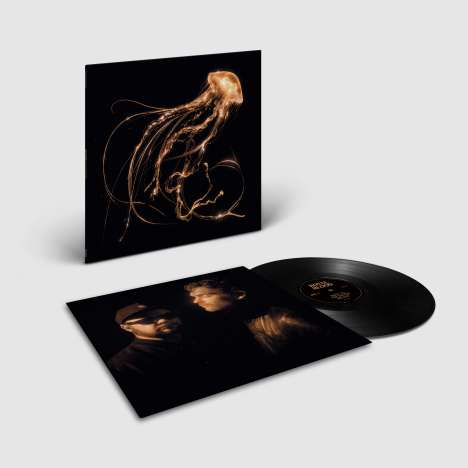 Royal Blood: Back To The Water Below, LP