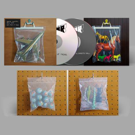 Black Country, New Road: Ants From Up There (Deluxe Box Set + 4 Artprints), 2 CDs