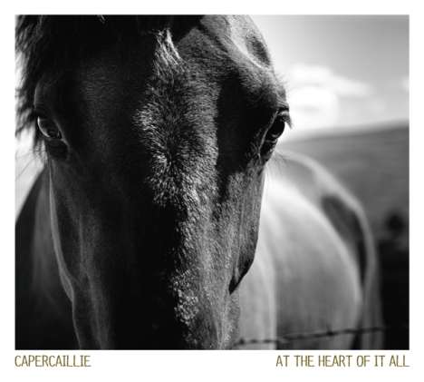 Capercaillie: At The Heart Of It All, CD