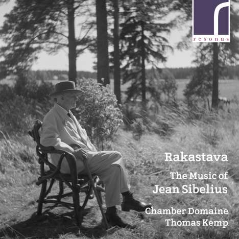 Jean Sibelius (1865-1957): Instrumentawerke &amp; Kammermusik, CD