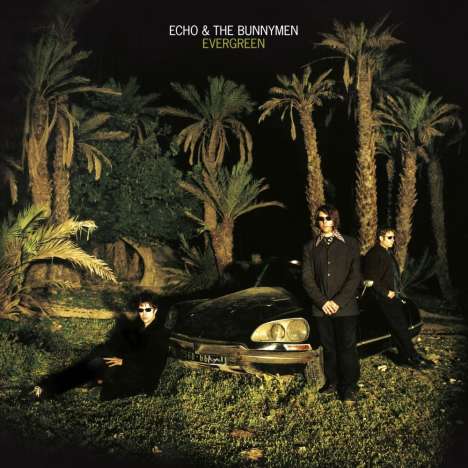 Echo &amp; The Bunnymen: Evergreen (25th Anniversary Edition) (White Vinyl), LP