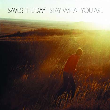 Saves The Day: Stay What You Are (25th Anniversary Edition) (Yellow/Red Splatter Vinyl), 2 Singles 10"