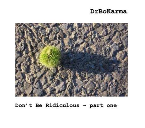 Drbokarma: Don't Be Ridiculous-Pt. 1, CD