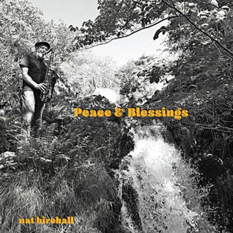 „Peace & Blessings“ und „nat birchall“ in Gelb. Saxophonspieler neben einem Wasserfall in grüner Natur.