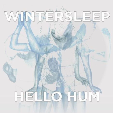 Wintersleep: Hello Hum, 2 LPs