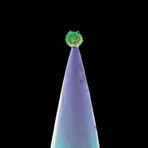 Peter Gabriel (geb. 1950): New Blood (Special Edition), 2 CDs