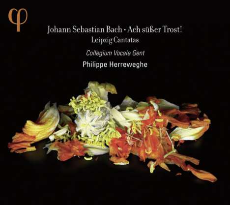 Johann Sebastian Bach (1685-1750): Kantaten BWV 25,46,105,138, CD
