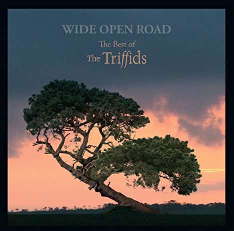 The Triffids: Wide Open Road: The Best Of The Triffids, CD