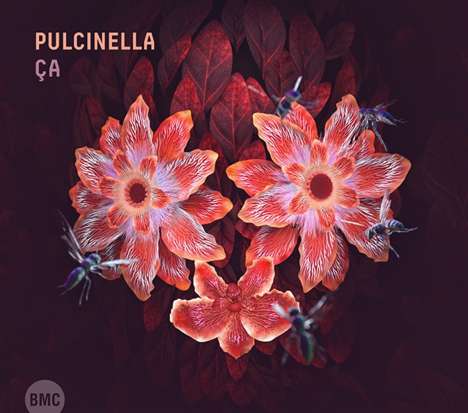 Pulcinella Orchestra: Ça, CD