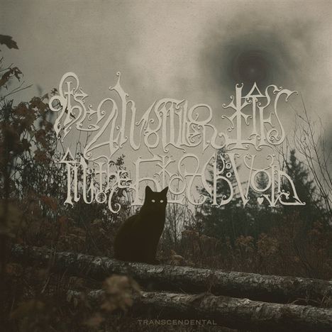 Verzierte Schrift: „Transcendental“. Eine schwarze Katze sitzt auf Baumstämmen, Hintergrund neblig mit düsterem Himmel.