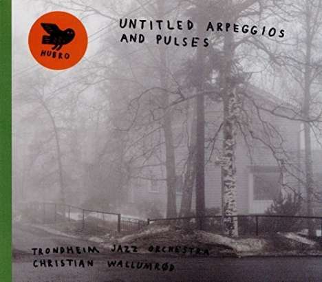Christian Wallumrød (geb. 1971): Untitled Apreggios And Pulses, CD