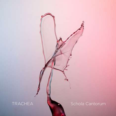 Schola Cantorum - Trachea (Blu-ray Audio &amp; SACD), 1 Blu-ray Audio und 1 Super Audio CD