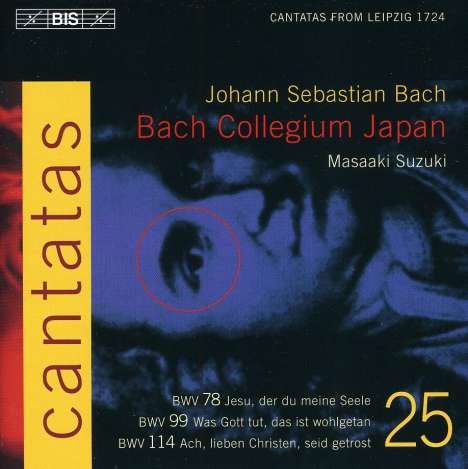 Johann Sebastian Bach (1685-1750): Kantaten Vol.25 (BIS-Edition), CD