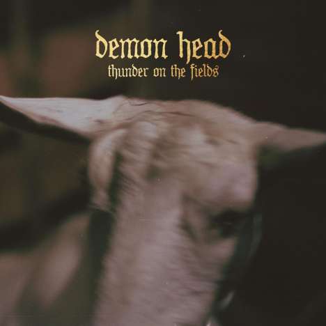 Demon Head: Thunder On The Fields, LP