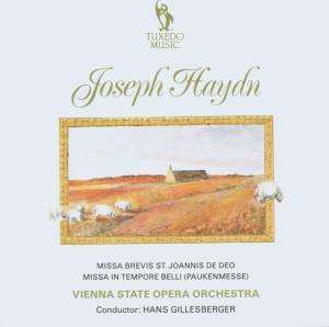 Joseph Haydn (1732-1809): Messen Nr.7 &amp; 9, CD