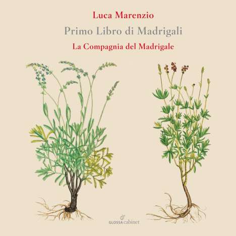 Luca Marenzio (1553-1599): Madrigali Libro 1, CD