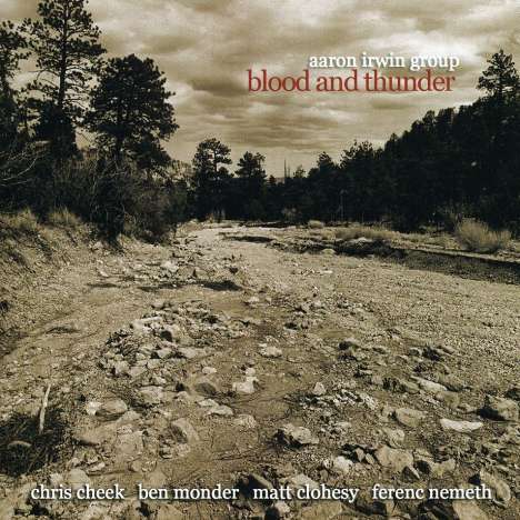 Aaron Irwin (geb. 1978): Blood And Thunder Feat., CD