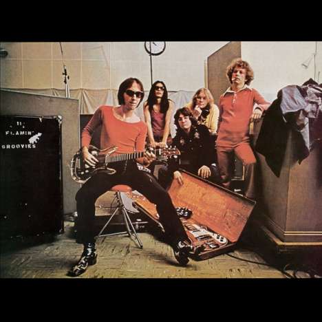 The Flamin' Groovies: Teenage Head (180g) (Limited-Deluxe-Edition), LP
