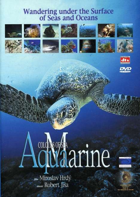 Aqua Marine, DVD