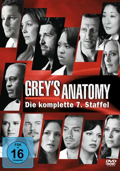 Grey's Anatomy Staffel 7, 6 DVDs