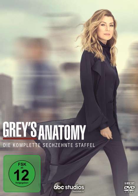 Grey's Anatomy Staffel 16, 6 DVDs