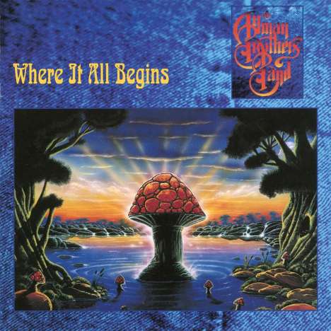 The Allman Brothers Band: Where It All Begins (180g), 2 LPs