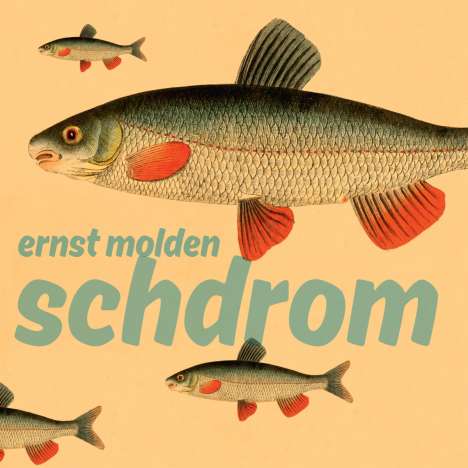 Ernst Molden: Schdrom (180g), 1 LP und 1 CD