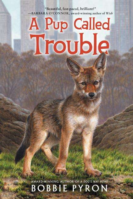 Bobbie Pyron: A Pup Called Trouble, Buch