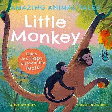Anne Rooney: Amazing Animal Tales: Little Monkey, Buch