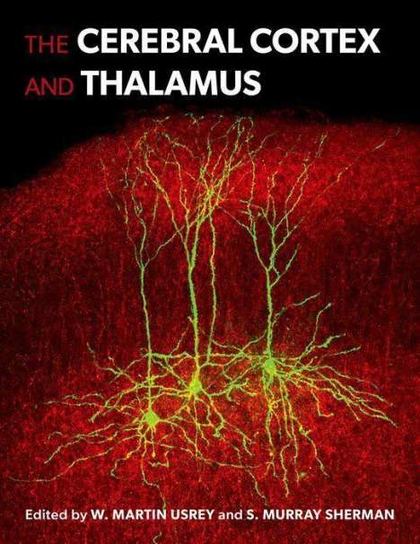 The Cerebral Cortex and Thalamus, Buch