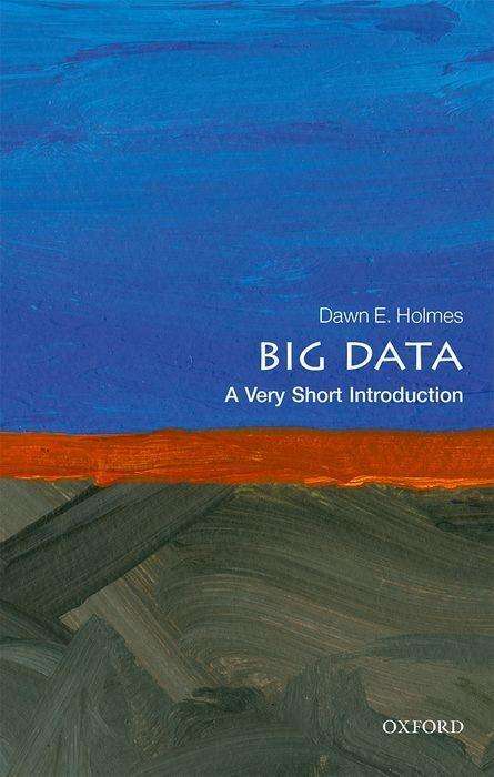 Dawn E. Holmes: Big Data: A Very Short Introduction, Buch