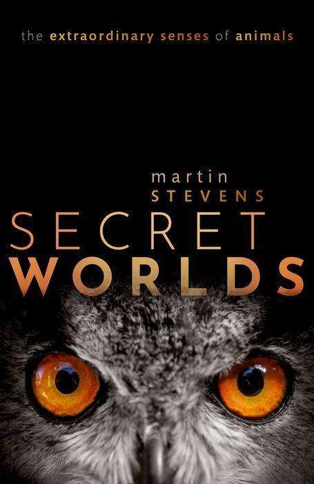 Martin Stevens: Secret Worlds, Buch