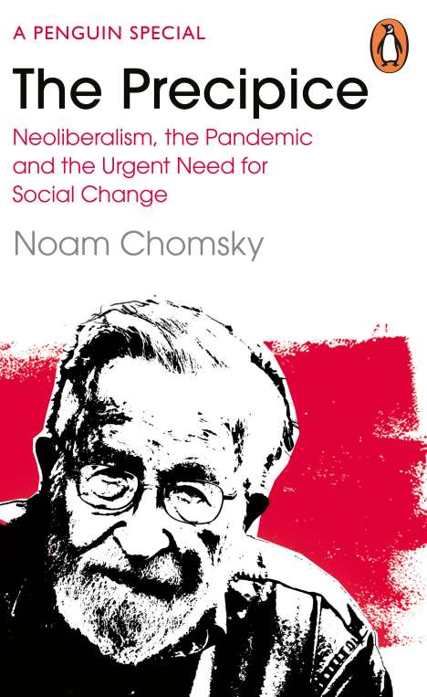 Noam Chomsky: The Precipice, Buch