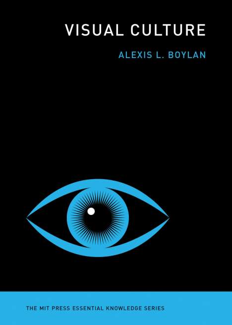 Alexis L. Boylan: Visual Culture, Buch