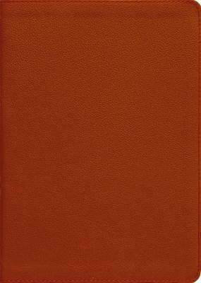 Zondervan: Esv, Thompson Chain-Reference Bible, Genuine Leather, Calfskin, Tan, Red Letter, Thumb Indexed, Buch