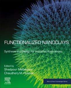 Functionalized Nanoclays, Buch