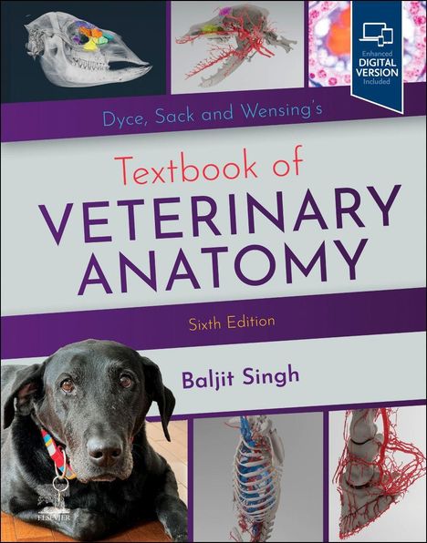 „Textbook of Veterinary Anatomy, Sixth Edition, Baljit Singh“. Bild eines Hundes und anatomische Illustrationen.