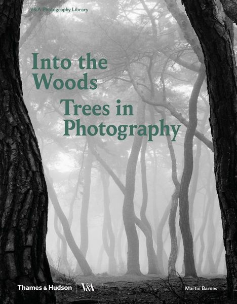 Martin Barnes: Into the Woods: Trees in Photography, Buch