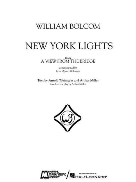 New York Lights: From a View from the Bridge, Buch