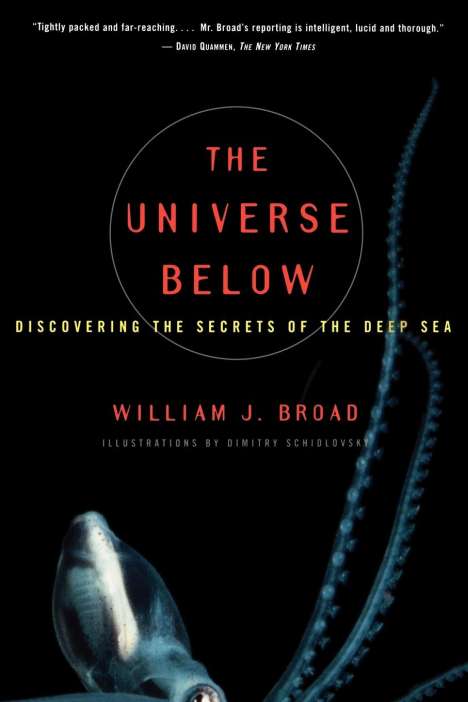 William J. Broad: The Universe Below, Buch
