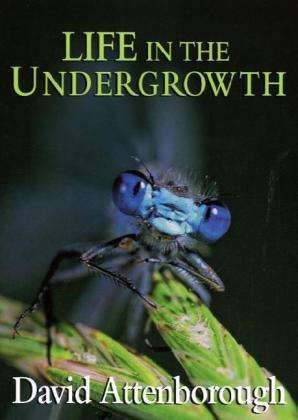 David Attenborough: Life In The Undergrowth, Buch