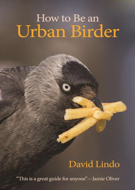 David Lindo: How to Be an Urban Birder, Buch