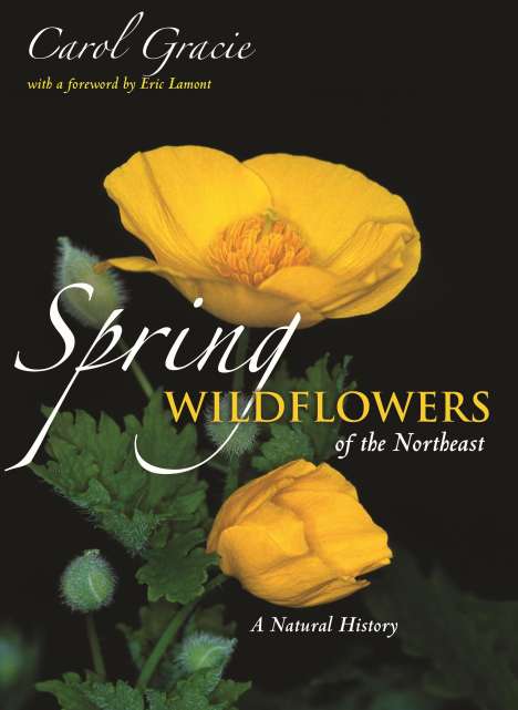 Carol Gracie: Spring Wildflowers of the Northeast, Buch