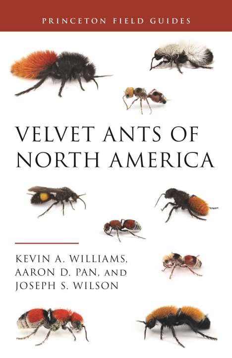 Dr. Kevin A. Williams: Velvet Ants of North America, Buch